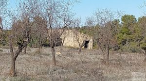 Vendemos Finca con másica de piedra en Calaceite con almendros y olivos. con tranquilidad y privacidad por 28.000€