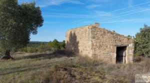 Foto de Finca con másica de piedra en Calaceite con almendros y olivos. con tranquilidad y privacidad