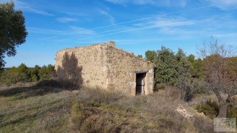 Finca con másica de piedra en Calaceite con almendros y olivos.