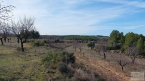 Finca con másica de piedra en Calaceite con almendros y olivos. en venta con tranquilidad y privacidad