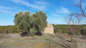 Vendemos Finca con másica de piedra en Calaceite con almendros y olivos. con tranquilidad y privacidad por 28.000€