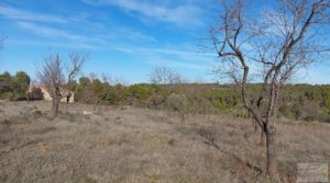 Foto de Finca con másica de piedra en Calaceite con almendros y olivos. en venta con tranquilidad y privacidad por 28.000€