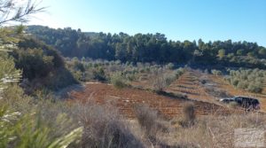 Foto de Propiedad en Mazaleón, cerca del río Matarraña. en venta con buen acceso por 66.000€