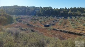 Foto de Propiedad en Mazaleón, cerca del río Matarraña. en venta con buen acceso