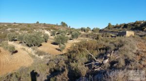 Propiedad en Mazaleón, cerca del río Matarraña. en oferta con buen acceso