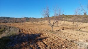 Propiedad en Mazaleón, cerca del río Matarraña. para vender con buen acceso