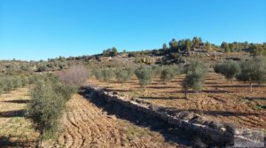 Foto de Propiedad en Mazaleón, cerca del río Matarraña. en venta con buen acceso