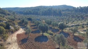 Propiedad en Mazaleón, cerca del río Matarraña. a buen precio con buen acceso