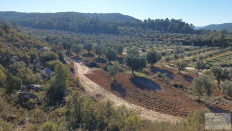 Propiedad en Mazaleón, cerca del río Matarraña.