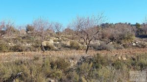 Foto de Propiedad en Mazaleón, cerca del río Matarraña. en venta con buen acceso