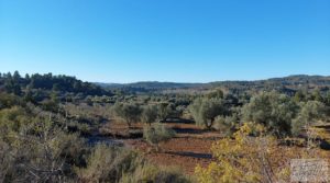 Se vende Propiedad en Mazaleón, cerca del río Matarraña. con buen acceso