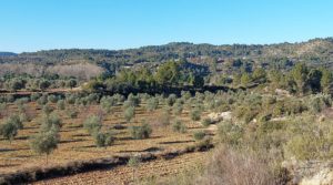 Foto de Propiedad en Mazaleón, cerca del río Matarraña. en venta con buen acceso