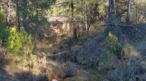 Se vende Finca agrícola con masía de piedra y bosque en Fuentespalda. con excelentes accesos por 66.000€