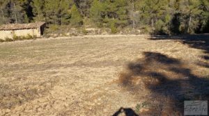 Foto de Finca agrícola con masía de piedra y bosque en Fuentespalda. con excelentes accesos