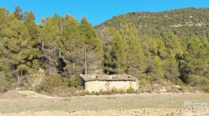 Foto de Finca agrícola con masía de piedra y bosque en Fuentespalda. en venta con excelentes accesos