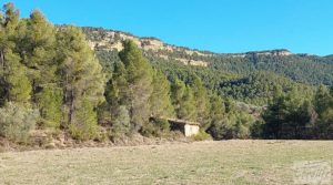 Finca agrícola con masía de piedra y bosque en Fuentespalda. en venta con excelentes accesos