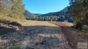 Vendemos Finca agrícola con masía de piedra y bosque en Fuentespalda. con excelentes accesos por 66.000€