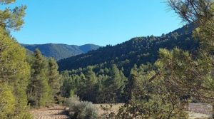 Foto de Finca agrícola con masía de piedra y bosque en Fuentespalda. en venta con excelentes accesos