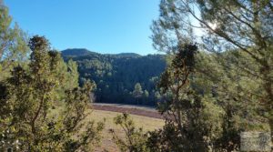 Finca agrícola con masía de piedra y bosque en Fuentespalda. en oferta con excelentes accesos