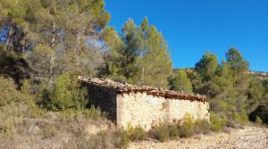 Vendemos Finca agrícola con masía de piedra y bosque en Fuentespalda. con excelentes accesos