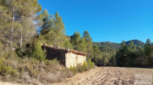 Finca agrícola con masía de piedra y bosque en Fuentespalda. a buen precio con excelentes accesos por 66.000€