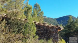 Detalle de Finca agrícola con masía de piedra y bosque en Fuentespalda. con excelentes accesos por 66.000€