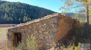Vendemos Finca agrícola con masía de piedra y bosque en Fuentespalda. con excelentes accesos por 66.000€