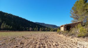 Detalle de Finca agrícola con masía de piedra y bosque en Fuentespalda. con excelentes accesos