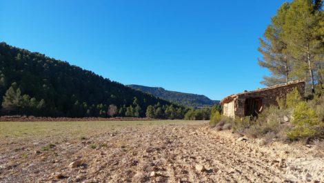 Finca agrícola con masía de piedra y bosque en Fuentespalda.
