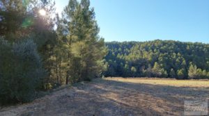 Foto de Finca agrícola con masía de piedra y bosque en Fuentespalda. con excelentes accesos
