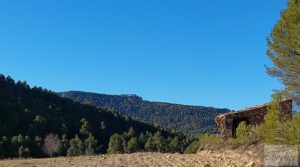 Se vende Finca agrícola con masía de piedra y bosque en Fuentespalda. con excelentes accesos