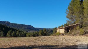 Finca agrícola con masía de piedra y bosque en Fuentespalda. para vender con excelentes accesos