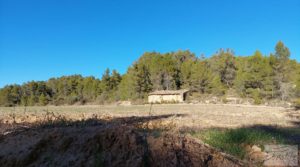 Detalle de Finca agrícola con masía de piedra y bosque en Fuentespalda. con excelentes accesos