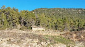 Detalle de Finca agrícola con masía de piedra y bosque en Fuentespalda. con excelentes accesos