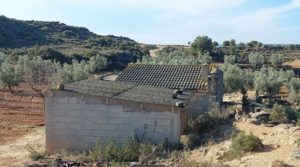 Finca con casa de piedra en Maella. a buen precio