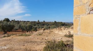 Se vende Finca con casa de piedra en Maella. por 35.000€