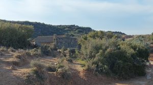 Vendemos Finca con casa de piedra en Maella.