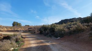 Foto de Finca con casa de piedra en Maella.