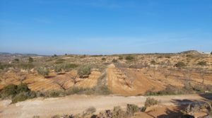 Finca con casa de piedra en Maella. en venta