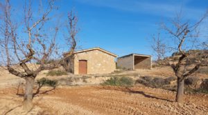 Foto de Finca con casa de piedra en Maella. en venta por 35.000€