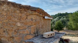 Foto de Finca en plena producción con casa de piedra en Alcañiz. con privacidad por 53.000€
