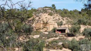 Vendemos Finca en plena producción con casa de piedra en Alcañiz. con buenos accesos por 53.000€