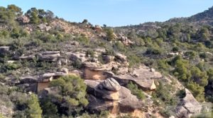 Se vende Finca en plena producción con casa de piedra en Alcañiz. con buenos accesos