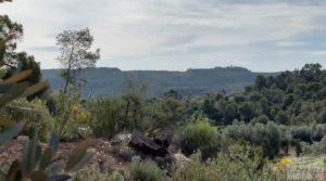 Se vende Finca en plena producción con casa de piedra en Alcañiz. con buenos accesos por 53.000€