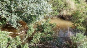 Finca en plena producción con casa de piedra en Alcañiz. para vender con buenos accesos