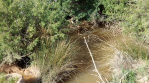 Foto de Finca en plena producción con casa de piedra en Alcañiz. con buenos accesos