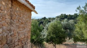 Foto de Finca en plena producción con casa de piedra en Alcañiz. en venta con privacidad por 53.000€