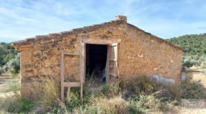 Finca en plena producción con casa de piedra en Alcañiz. para vender con buenos accesos