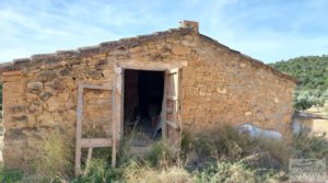 Se vende Finca en plena producción con casa de piedra en Alcañiz. con buenos accesos