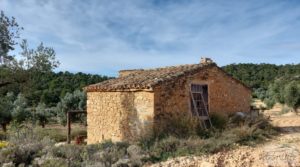 Finca en plena producción con casa de piedra en Alcañiz. en oferta con privacidad por 53.000€